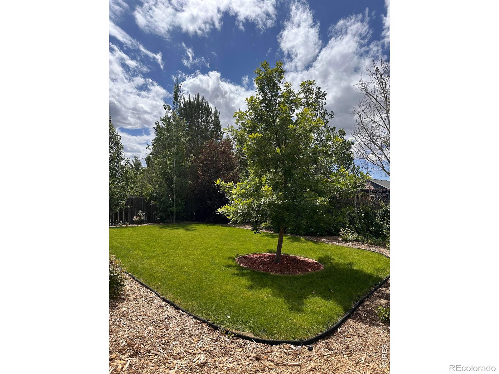 MLS Image #29 for 883  emerald drive,windsor, Colorado
