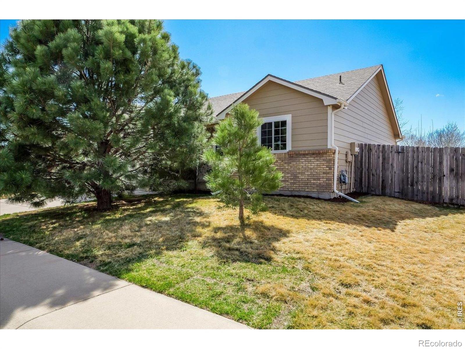 MLS Image #3 for 883  emerald drive,windsor, Colorado
