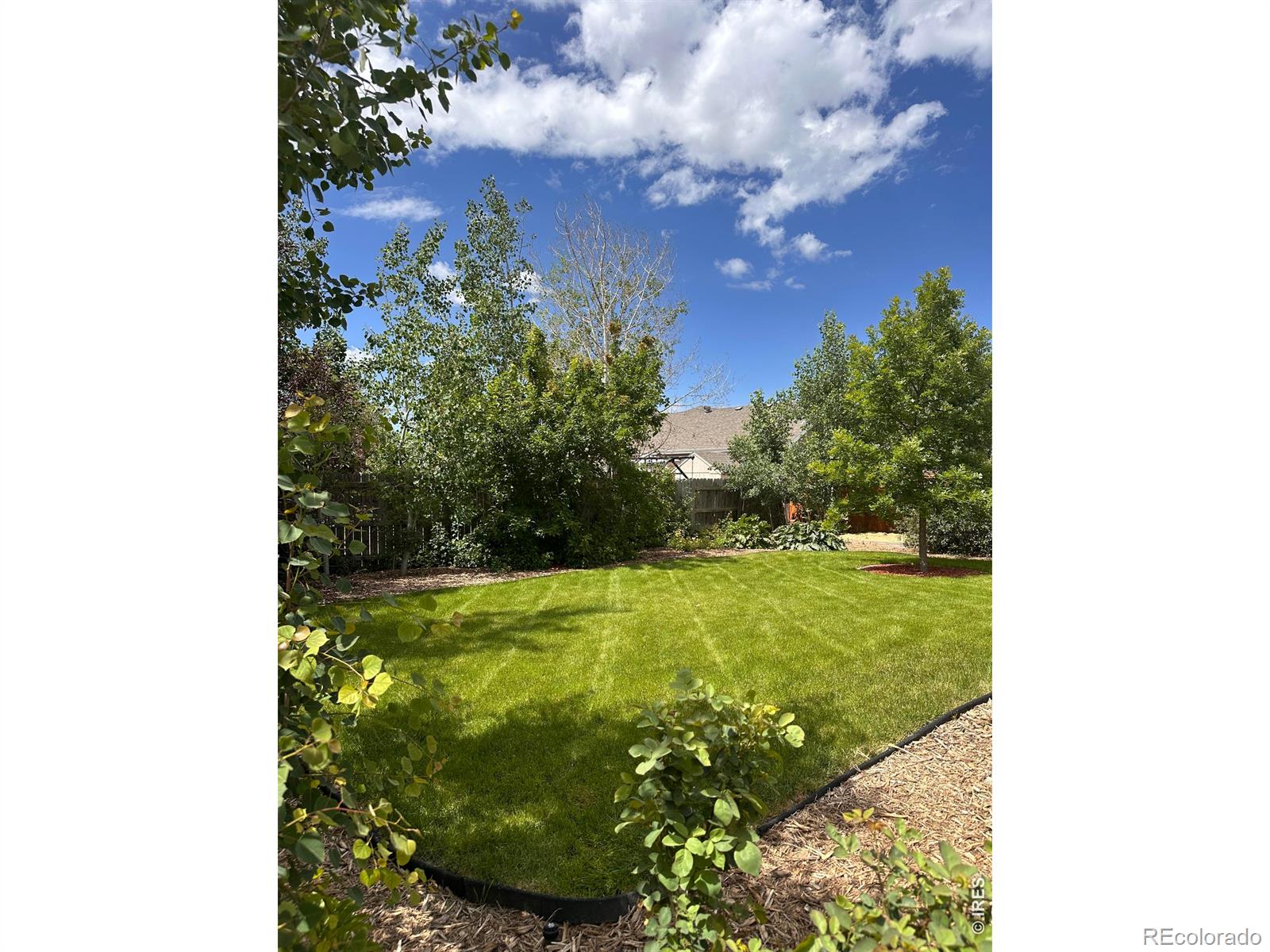 MLS Image #30 for 883  emerald drive,windsor, Colorado