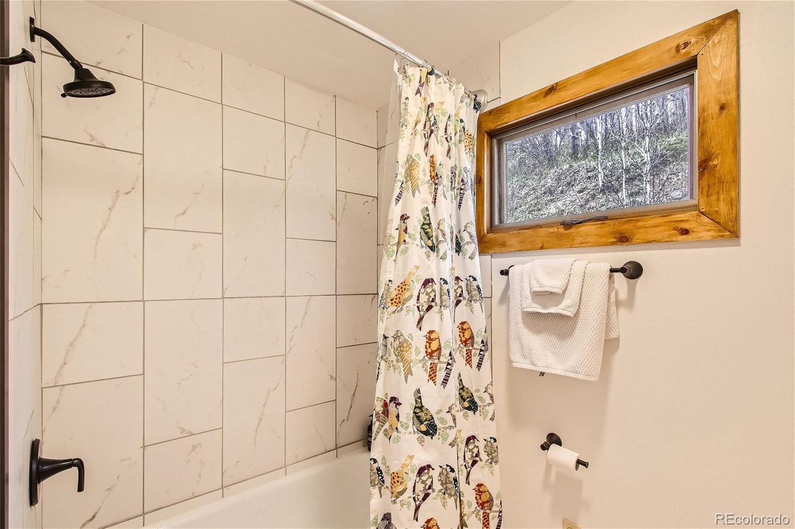 MLS Image #16 for 1170  apex valley road,black hawk, Colorado