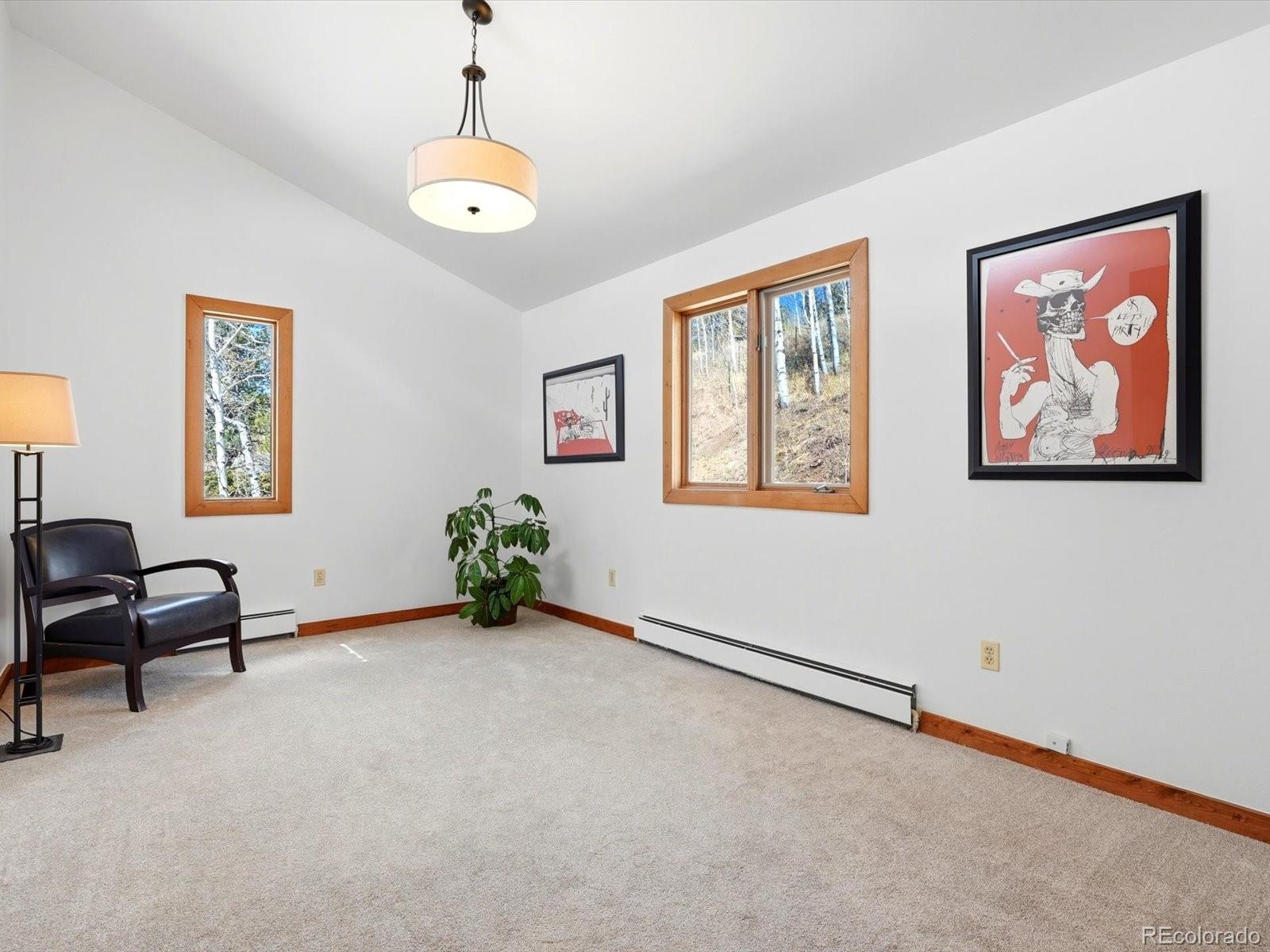 MLS Image #18 for 1170  apex valley road,black hawk, Colorado