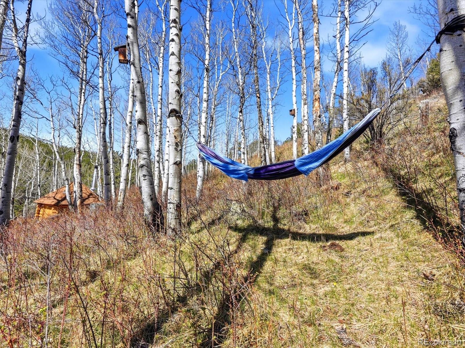 MLS Image #30 for 1170  apex valley road,black hawk, Colorado