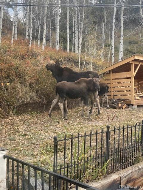MLS Image #31 for 1170  apex valley road,black hawk, Colorado