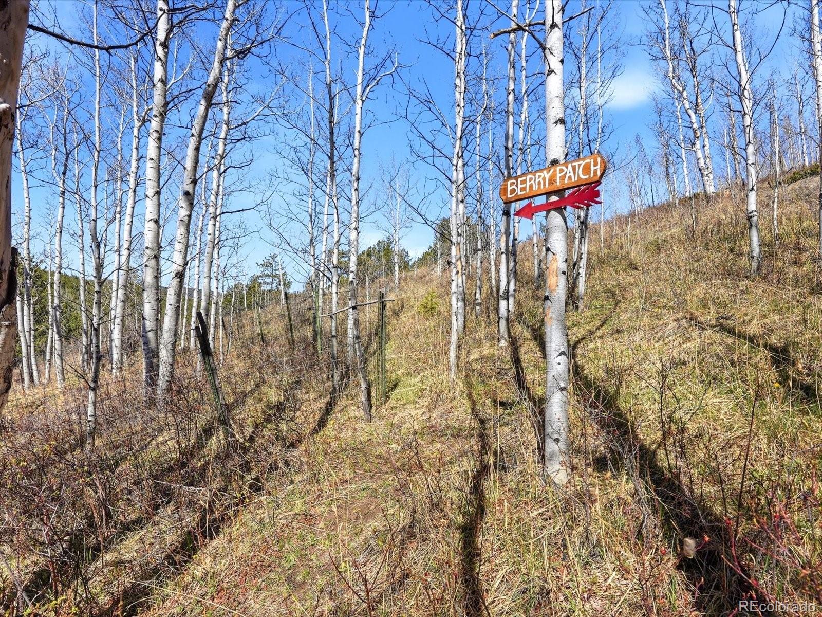 MLS Image #34 for 1170  apex valley road,black hawk, Colorado