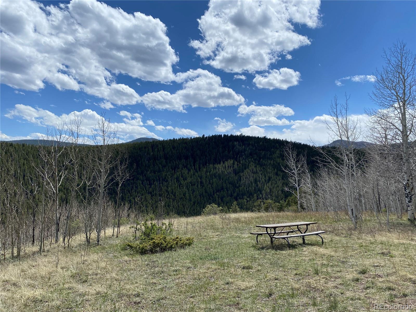 MLS Image #36 for 1170  apex valley road,black hawk, Colorado