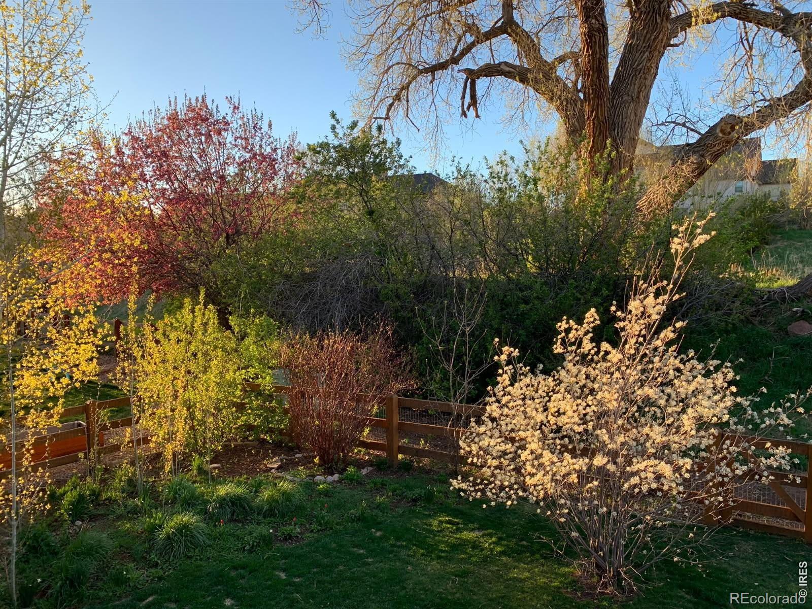 MLS Image #29 for 629  deer meadow drive,loveland, Colorado