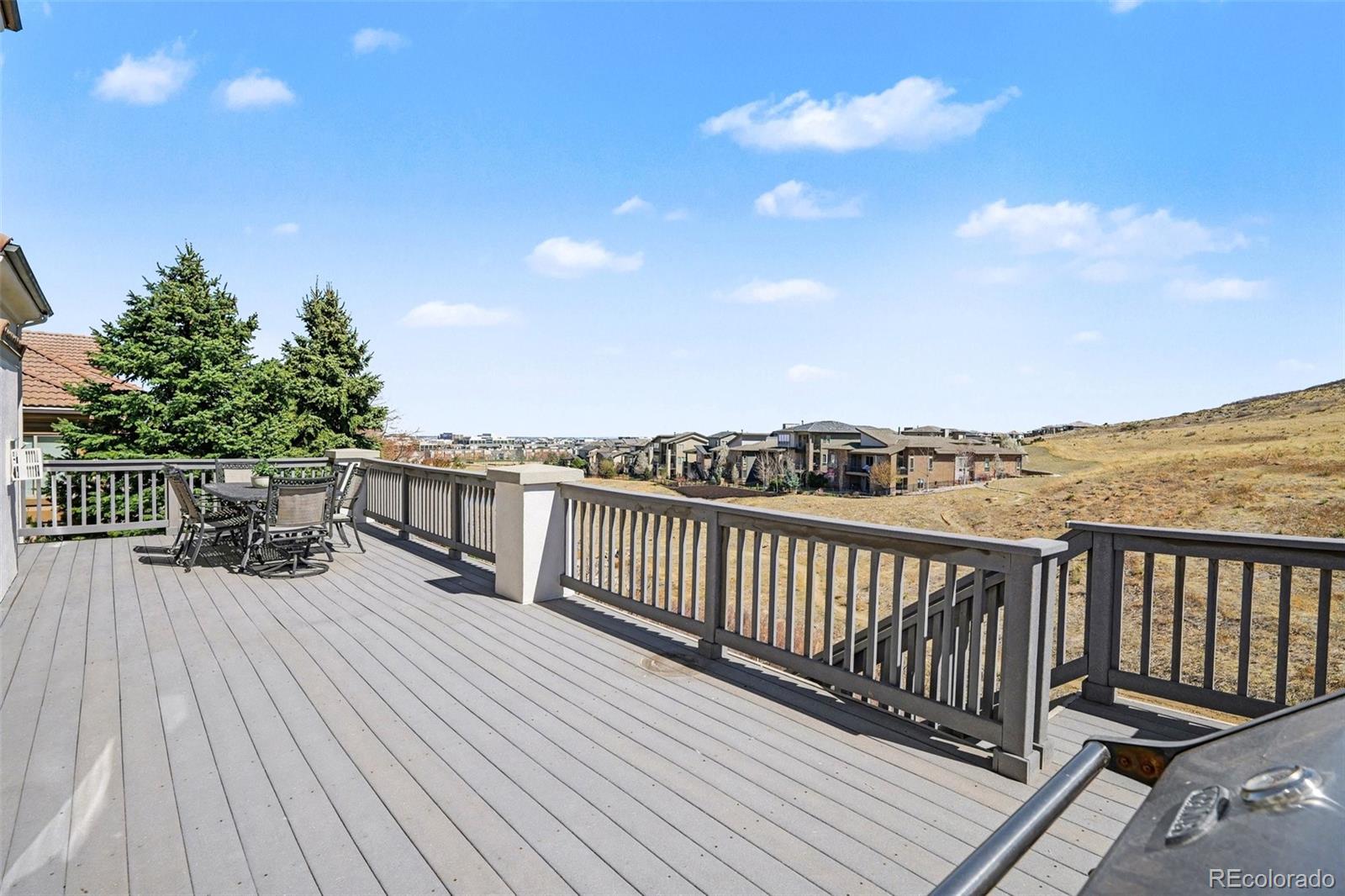 MLS Image #11 for 10528  rivington court,lone tree, Colorado
