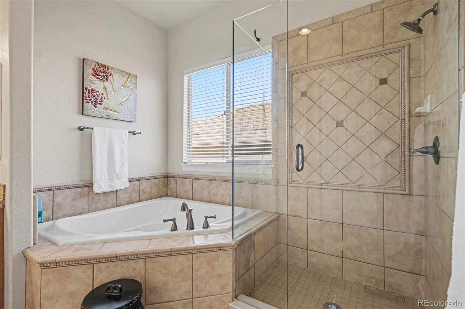 MLS Image #17 for 10528  rivington court,lone tree, Colorado