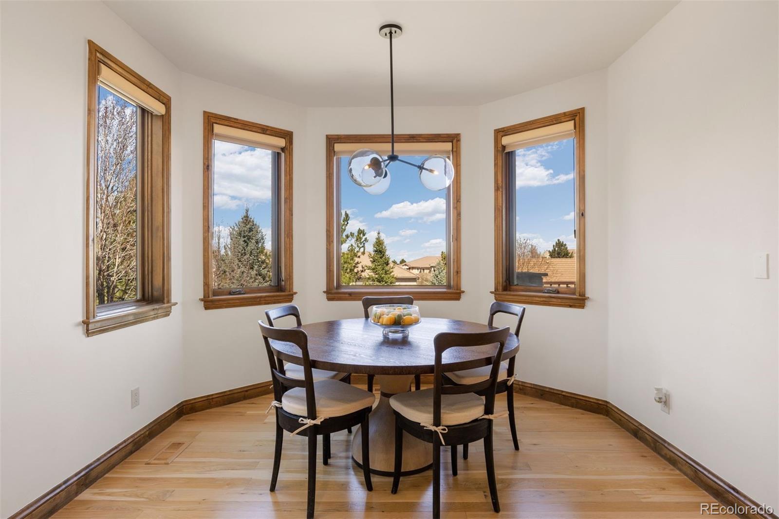 MLS Image #13 for 5845  amber ridge drive,castle pines, Colorado