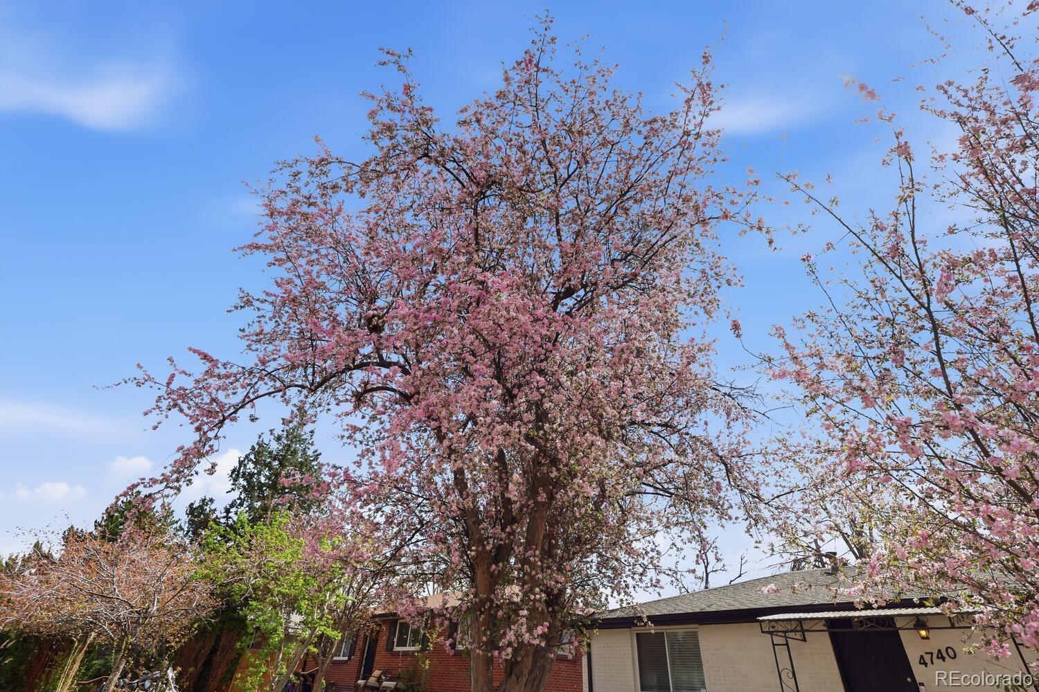 MLS Image #31 for 4740 e jewell avenue,denver, Colorado
