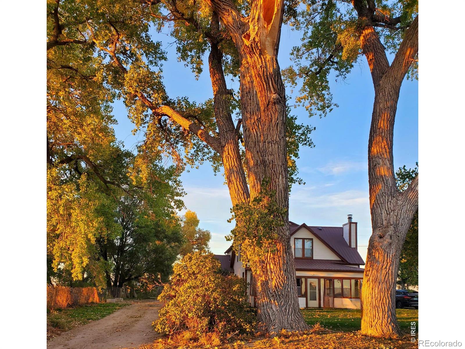MLS Image #2 for 21049  county road p ,fort morgan, Colorado
