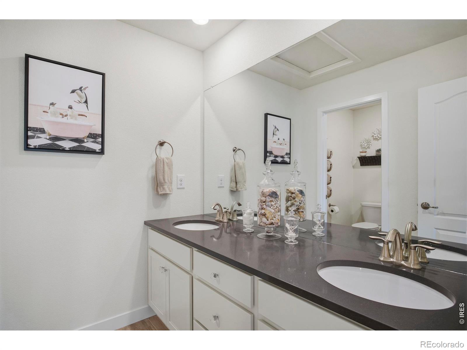 MLS Image #17 for 6997  thunderview drive,timnath, Colorado