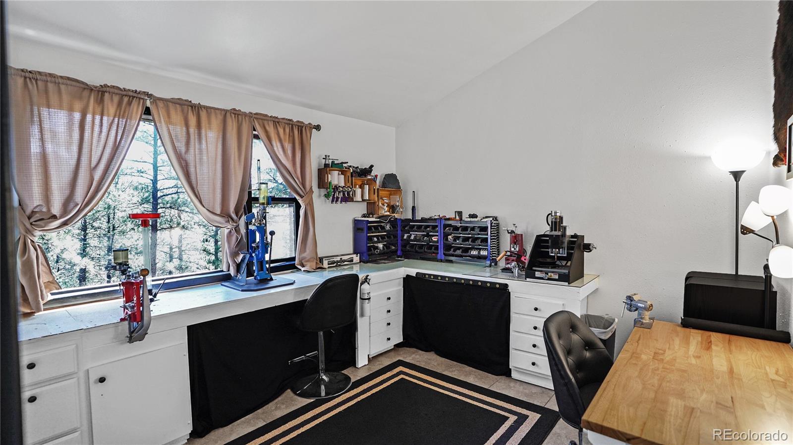 MLS Image #14 for 16536  ouray road,pine, Colorado