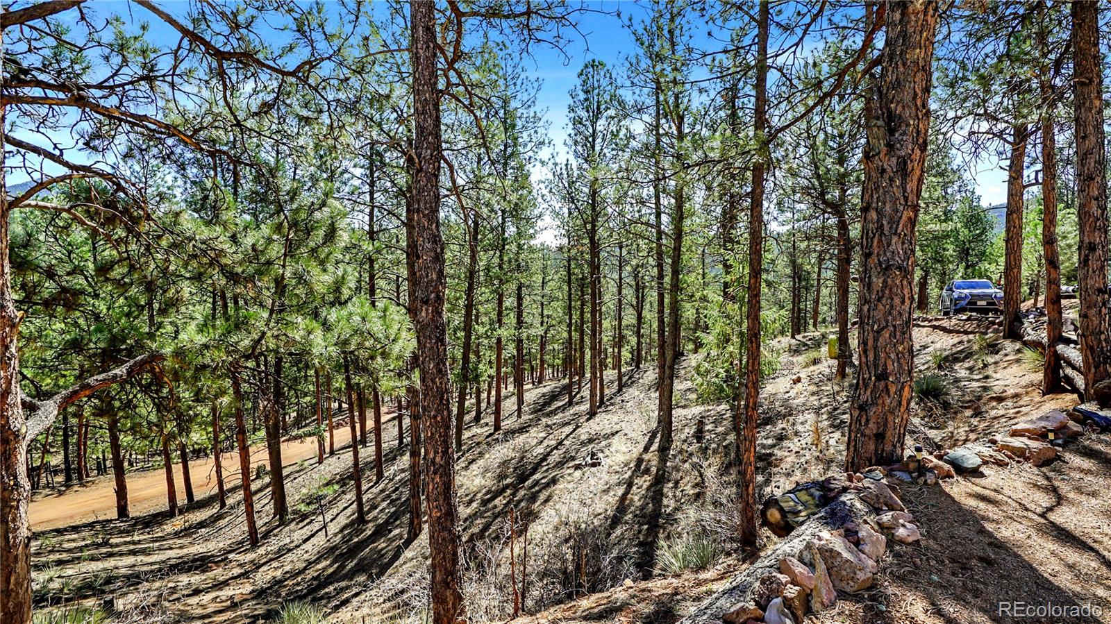 MLS Image #24 for 16536  ouray road,pine, Colorado