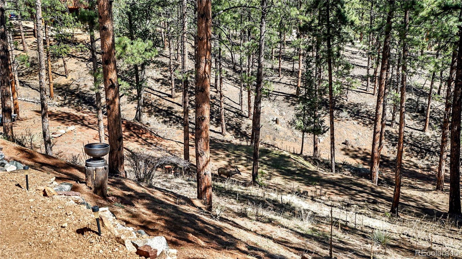 MLS Image #25 for 16536  ouray road,pine, Colorado