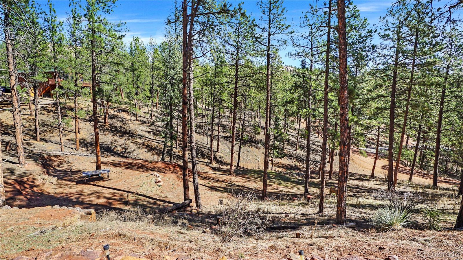 MLS Image #30 for 16536  ouray road,pine, Colorado