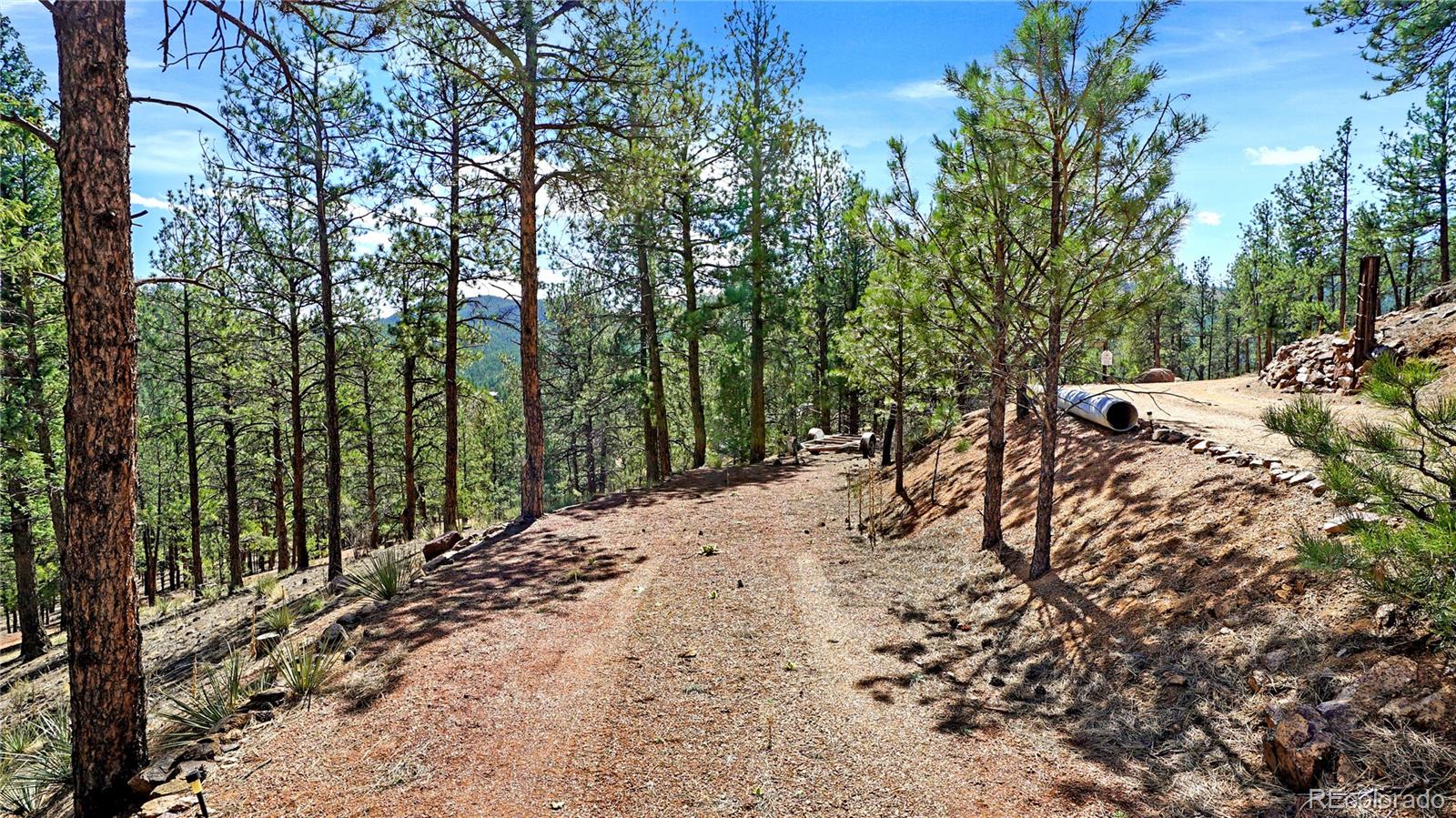 MLS Image #31 for 16536  ouray road,pine, Colorado