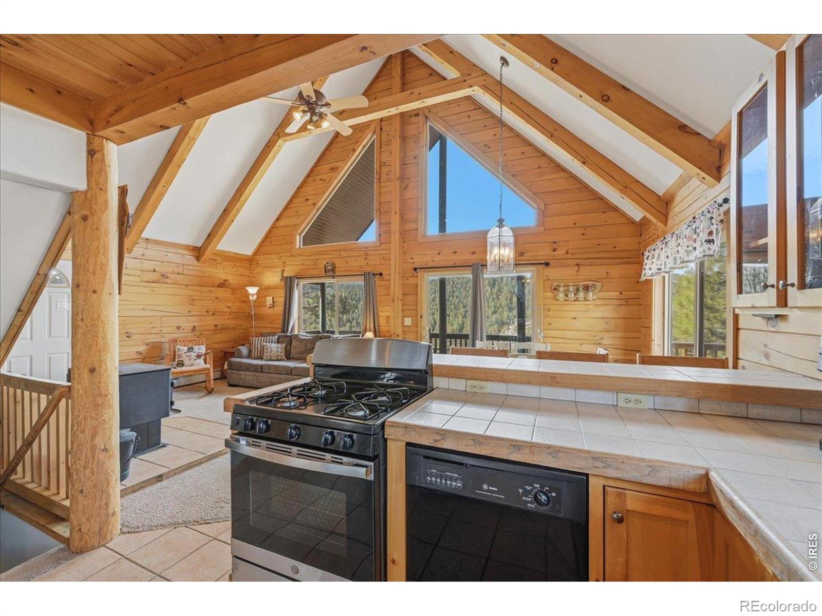MLS Image #10 for 256 w quandary court,livermore, Colorado