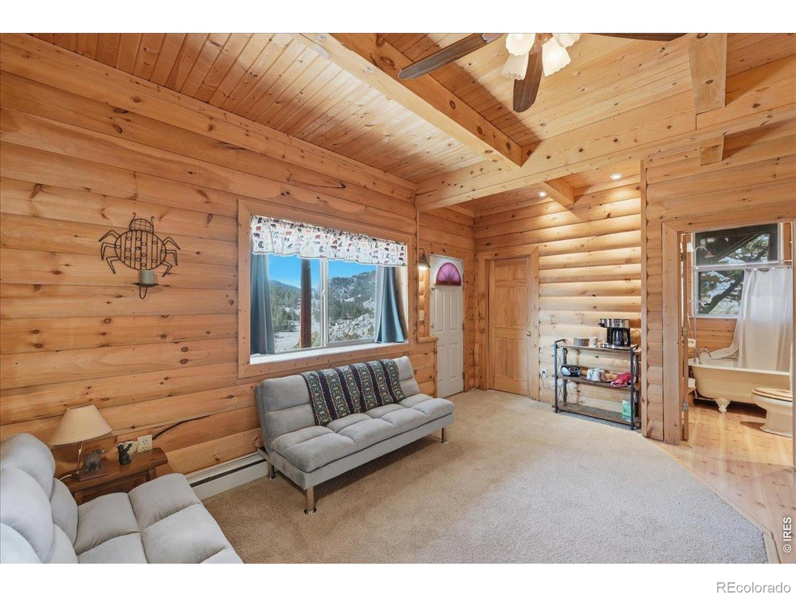 MLS Image #20 for 256 w quandary court,livermore, Colorado