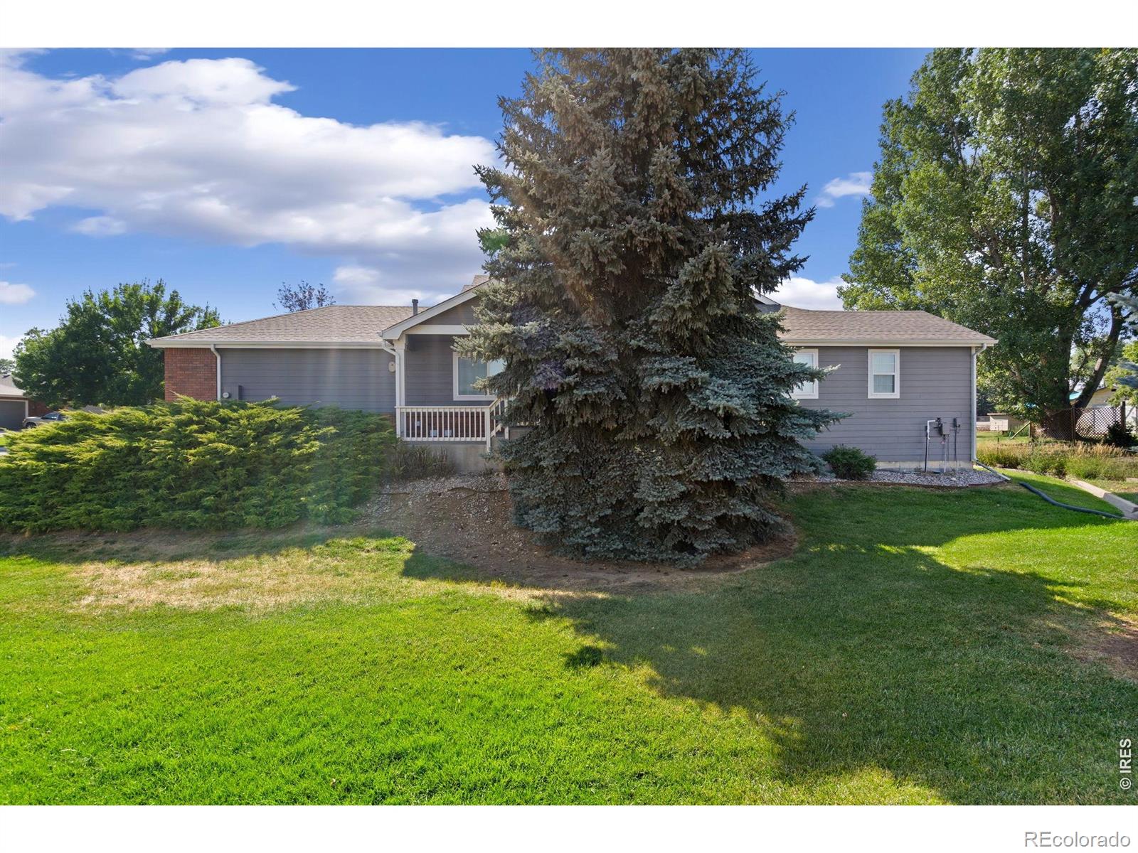 MLS Image #25 for 1108  belleview drive,fort collins, Colorado