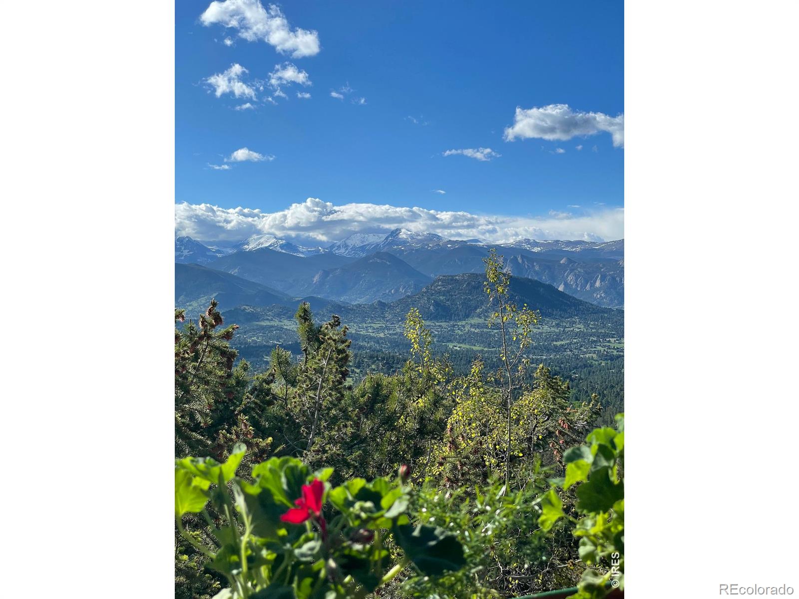 MLS Image #11 for 1810  moss rock drive,estes park, Colorado