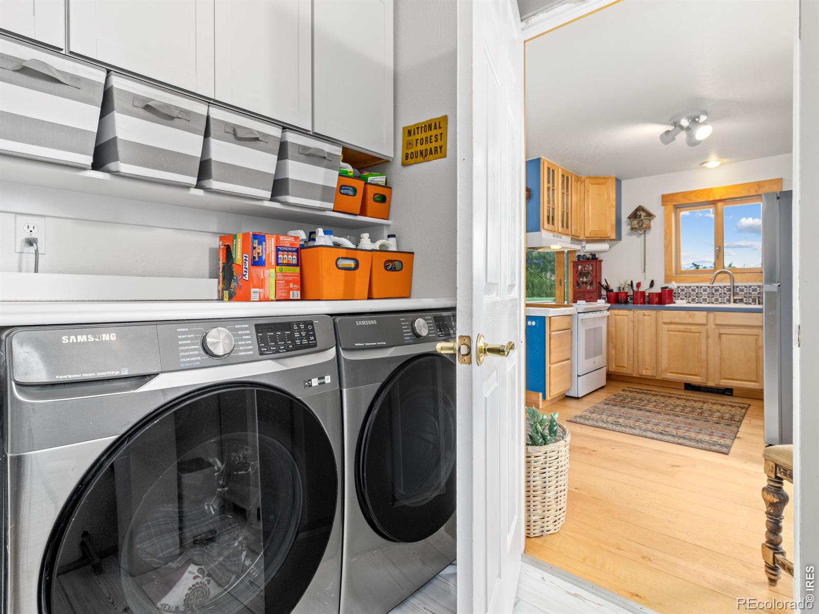 MLS Image #29 for 1810  moss rock drive,estes park, Colorado