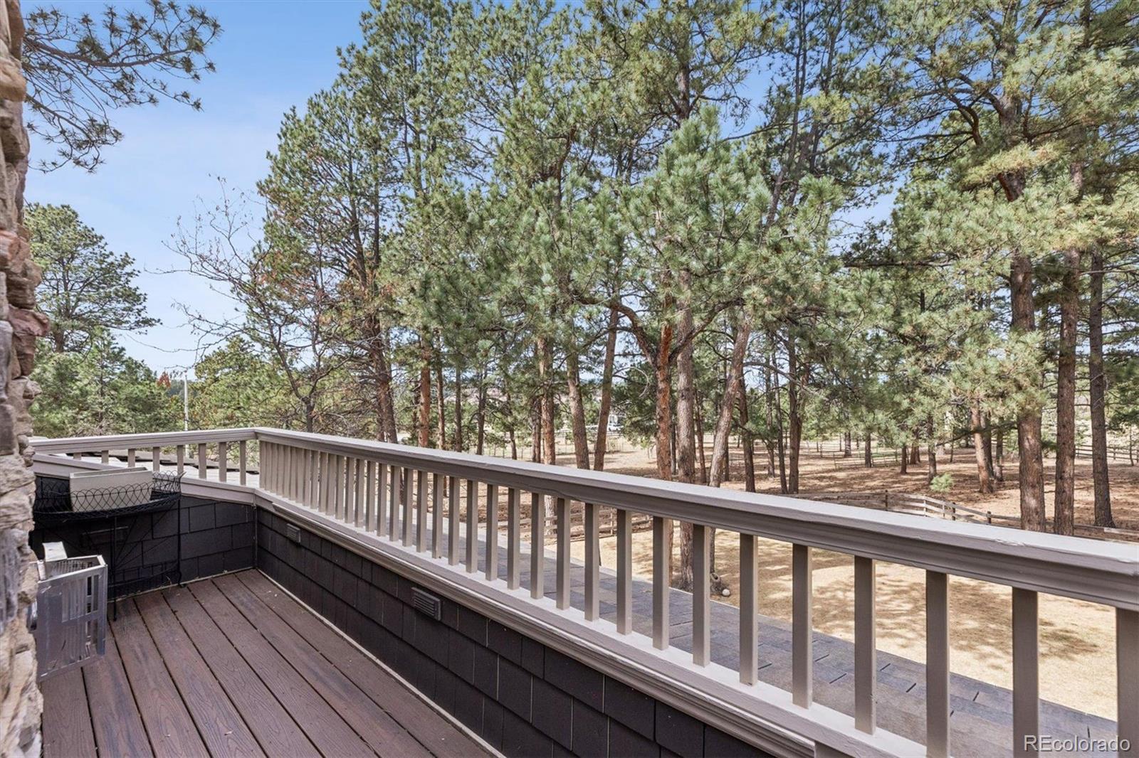 MLS Image #20 for 590  grey squirrel way,franktown, Colorado