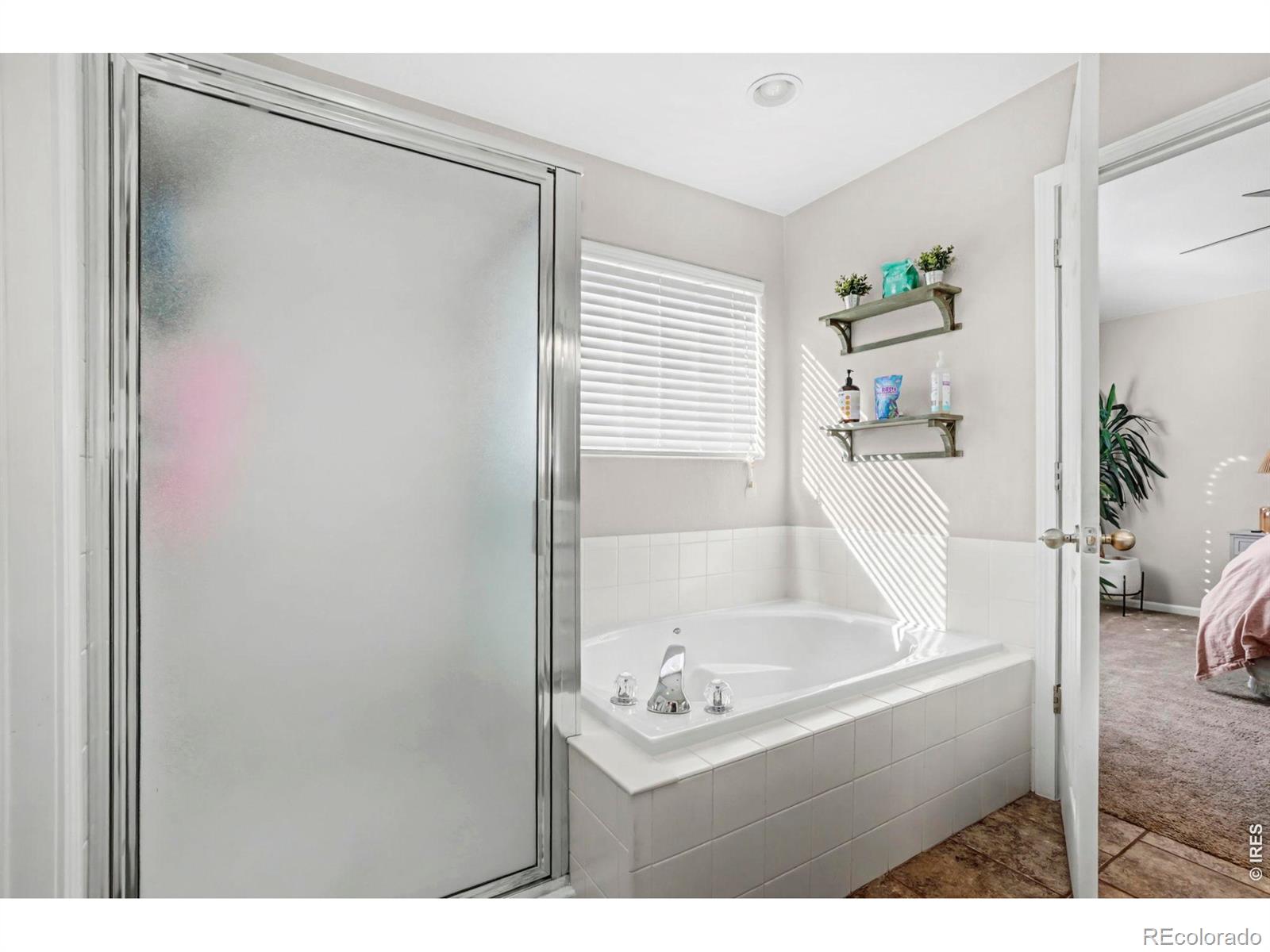 MLS Image #19 for 1313  park ridge drive,severance, Colorado