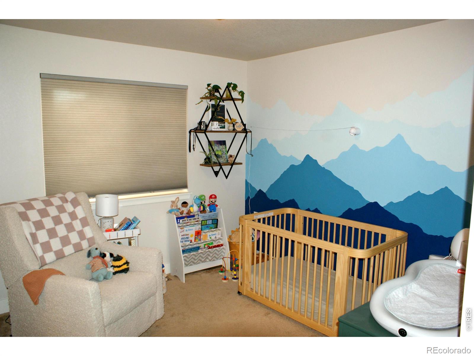 MLS Image #10 for 819  widgeon circle,longmont, Colorado