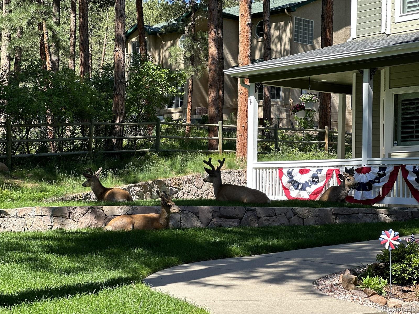 MLS Image #45 for 4745  cheyenne drive,larkspur, Colorado