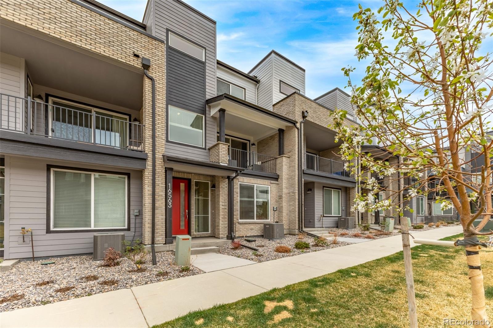 MLS Image #3 for 16563  peak way,broomfield, Colorado