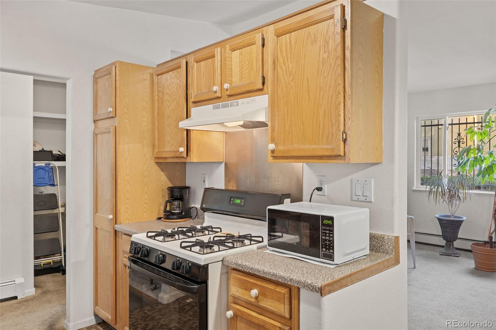 MLS Image #12 for 760  lupine street,golden, Colorado
