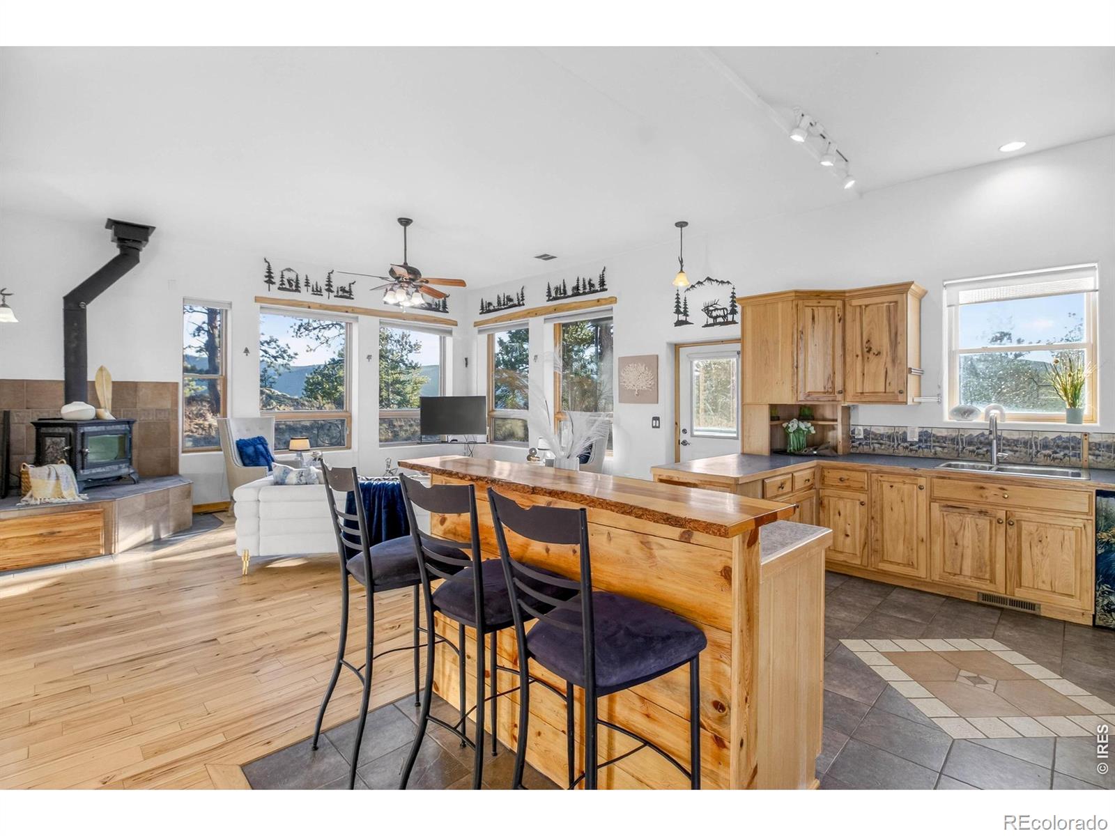 MLS Image #15 for 100  snow top drive,drake, Colorado