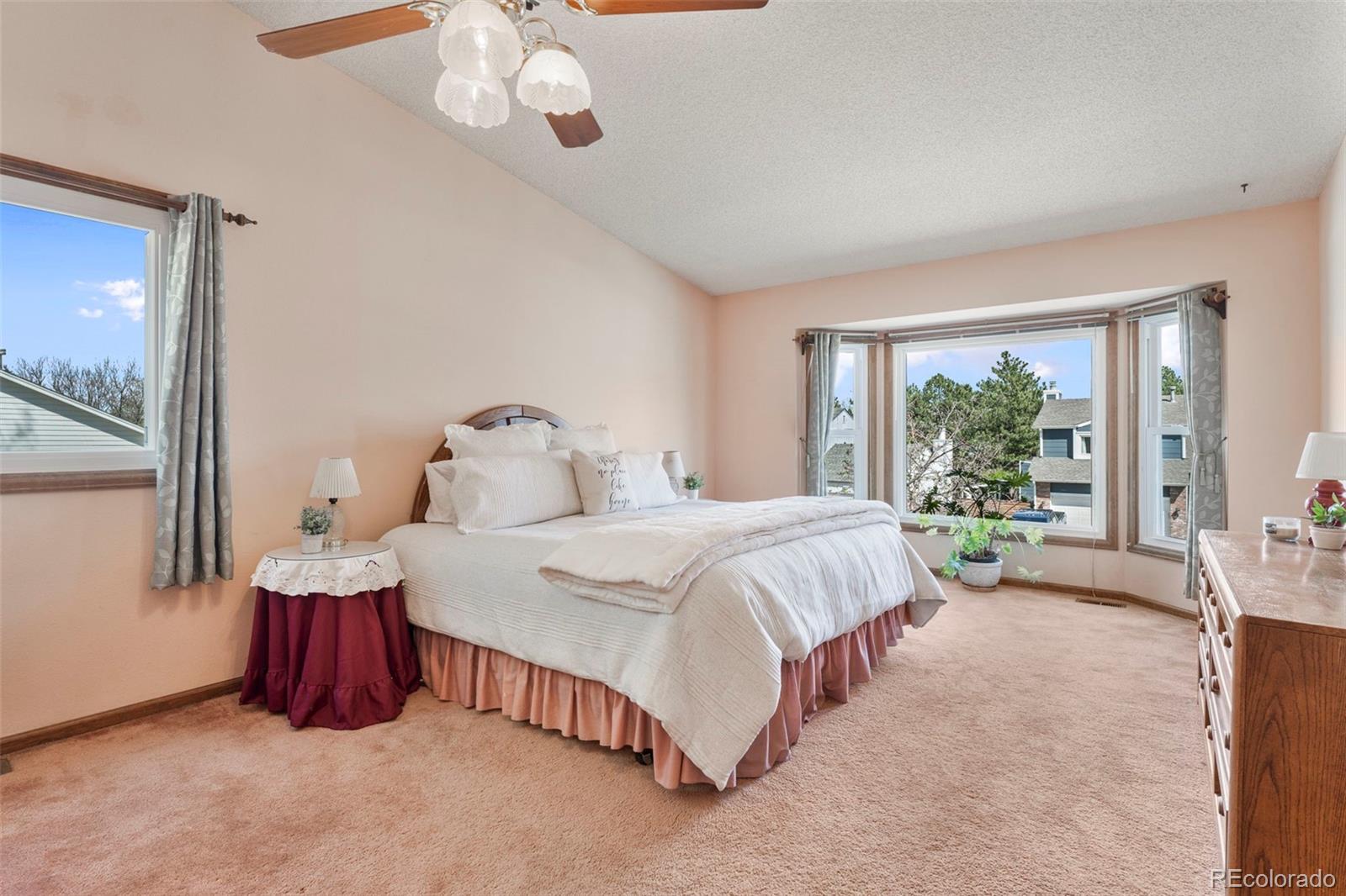 MLS Image #19 for 10635  irving court,westminster, Colorado