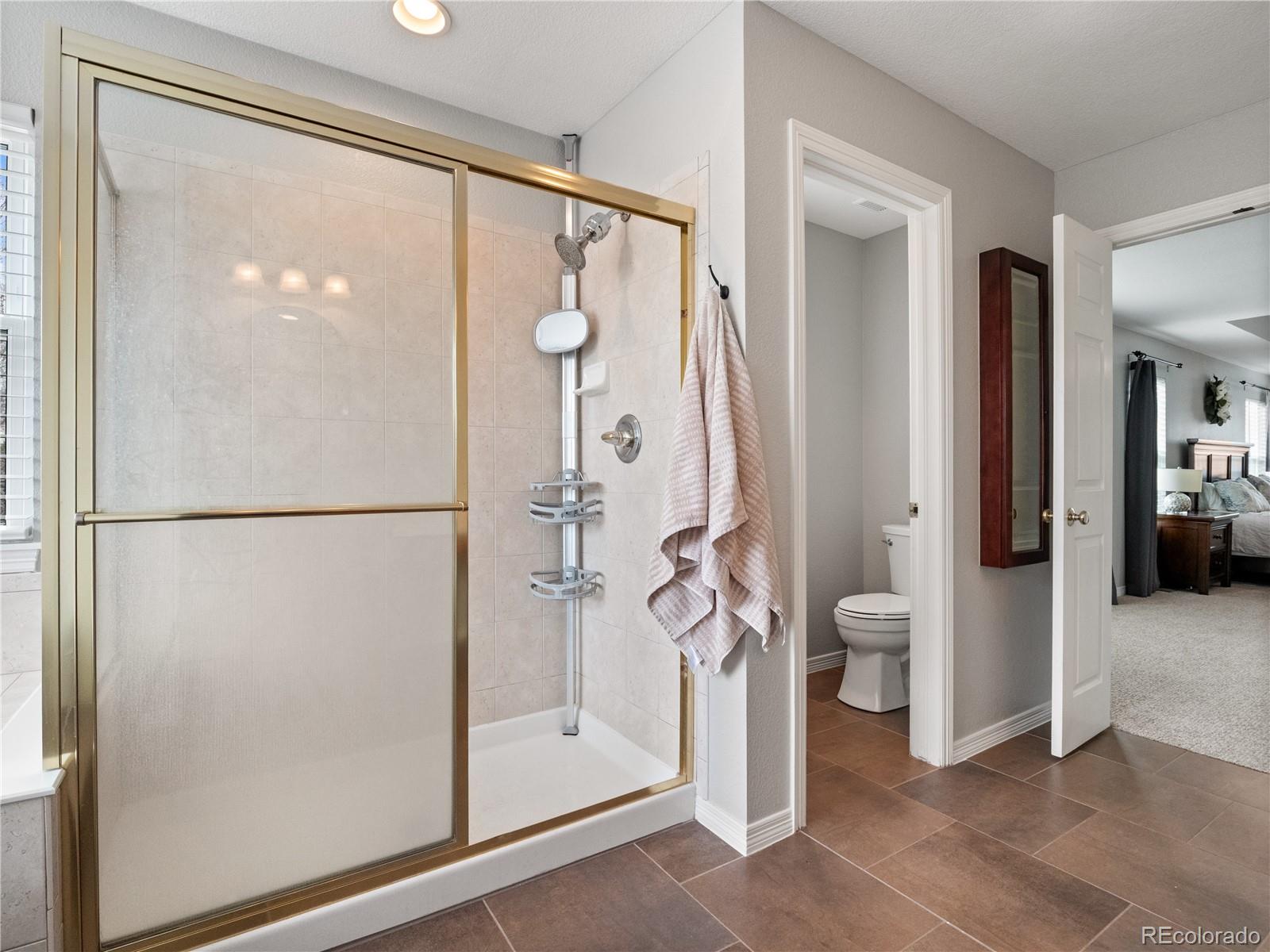 MLS Image #22 for 10210  charissglen lane,highlands ranch, Colorado