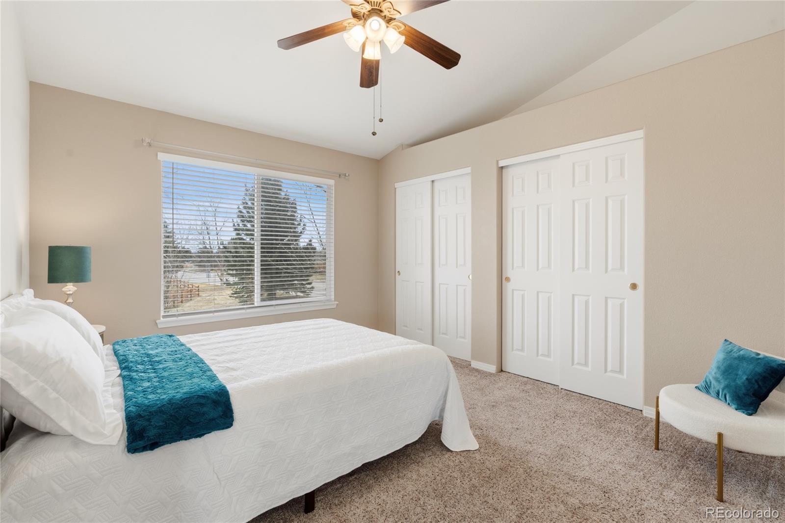 MLS Image #10 for 128  las lunas street,castle rock, Colorado