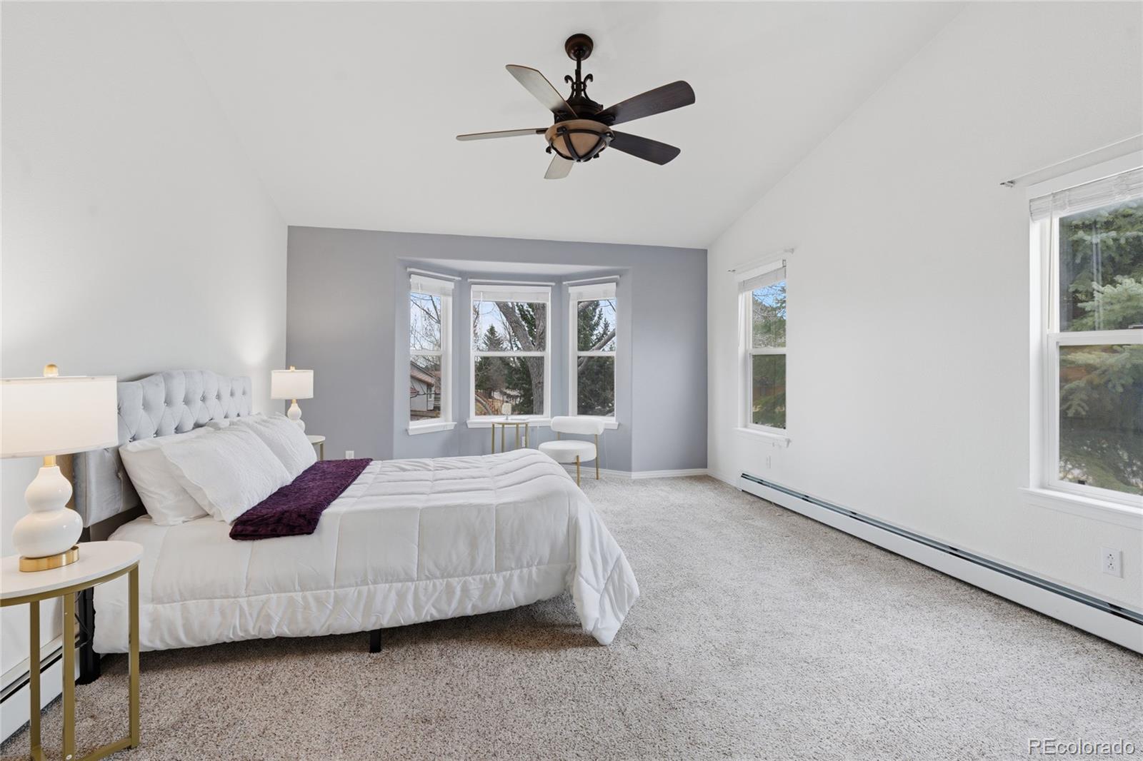 MLS Image #12 for 128  las lunas street,castle rock, Colorado