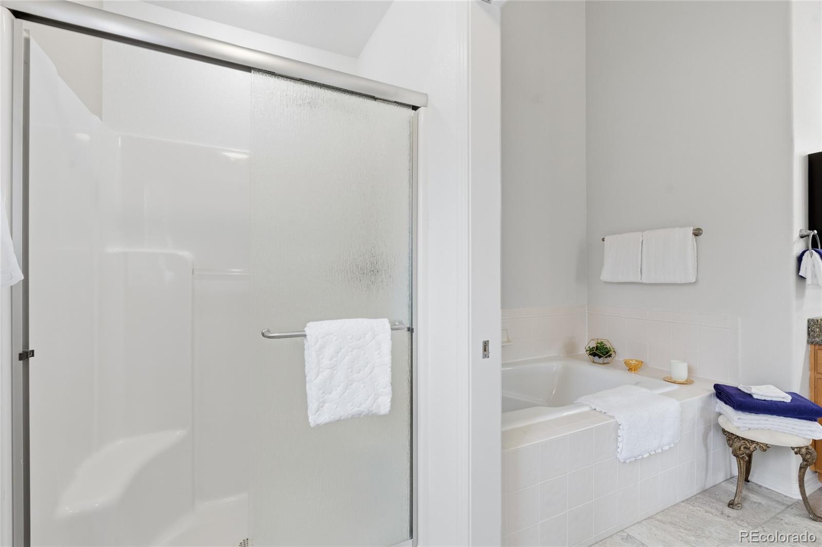 MLS Image #17 for 128  las lunas street,castle rock, Colorado