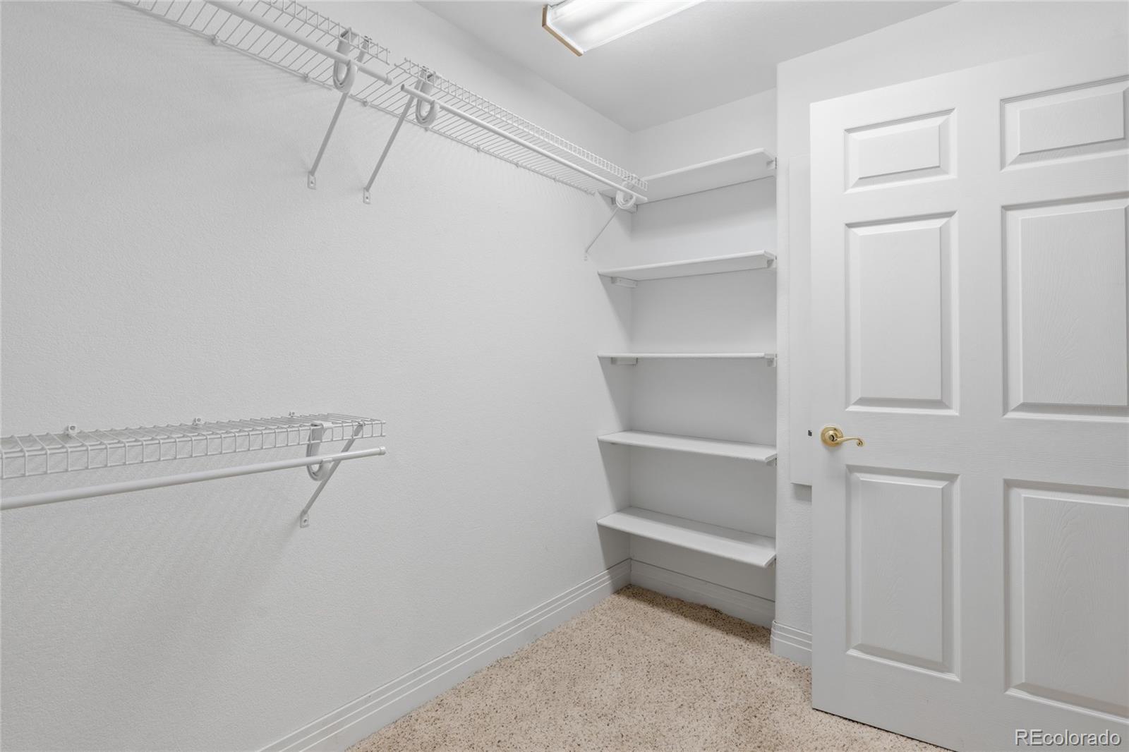 MLS Image #26 for 128  las lunas street,castle rock, Colorado