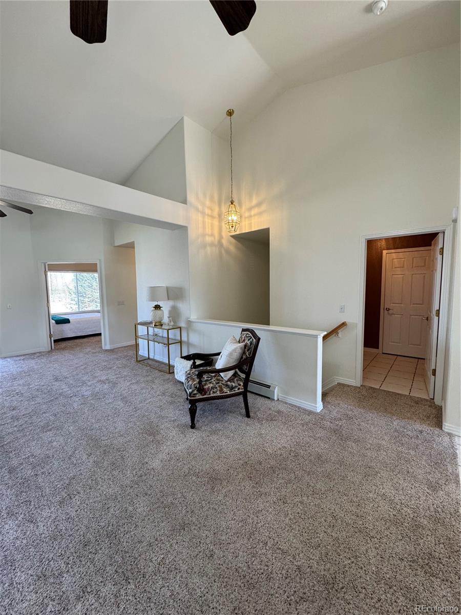 MLS Image #44 for 128  las lunas street,castle rock, Colorado