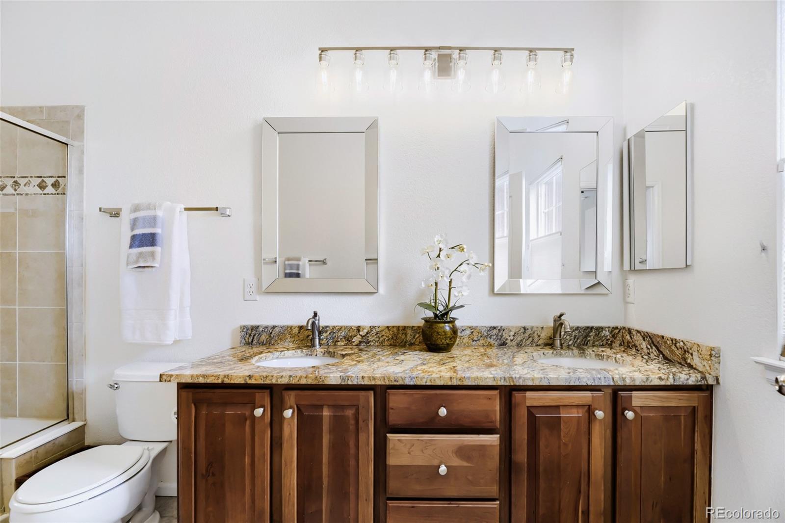 MLS Image #16 for 757  bristle pine circle,highlands ranch, Colorado