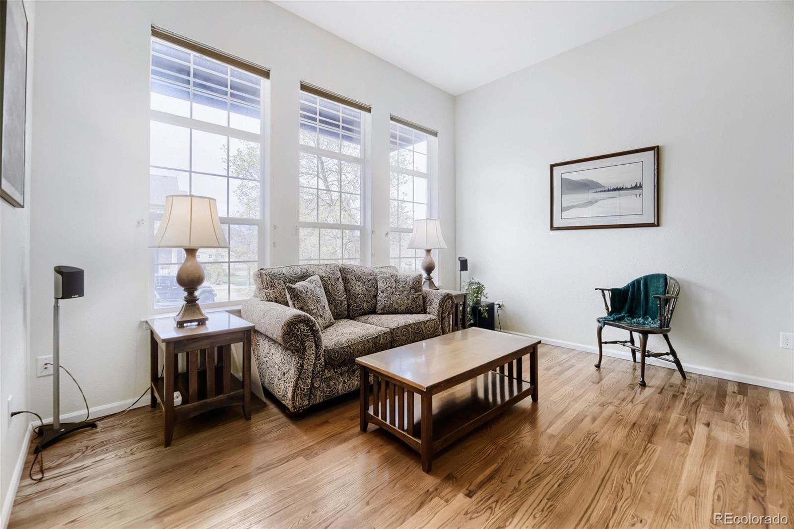 MLS Image #3 for 757  bristle pine circle,highlands ranch, Colorado