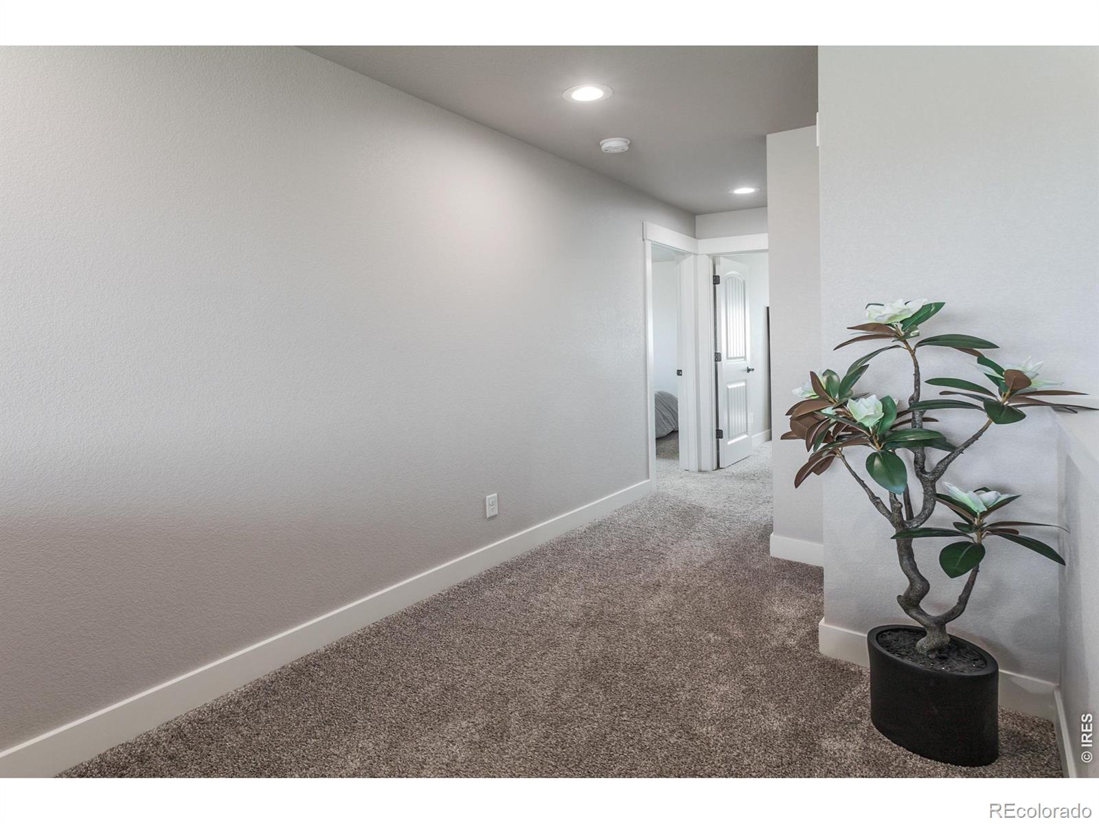 MLS Image #22 for 1726  westward circle,eaton, Colorado