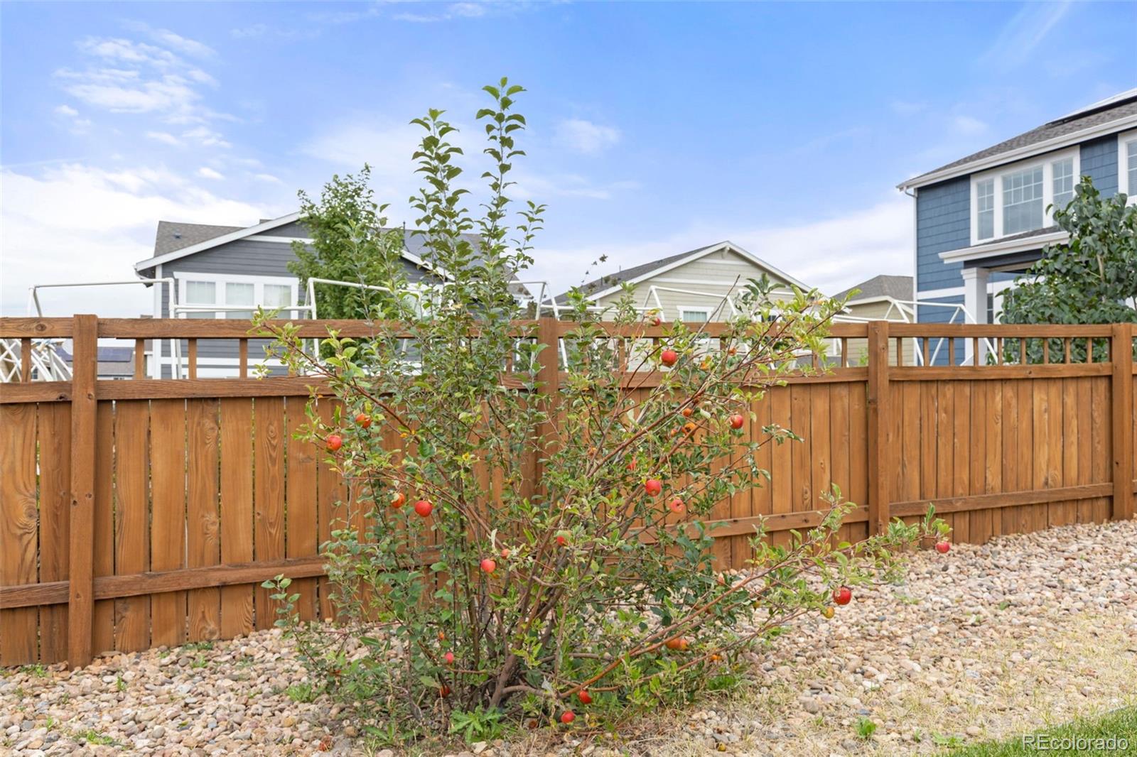 MLS Image #39 for 3021  leafdale drive,castle rock, Colorado