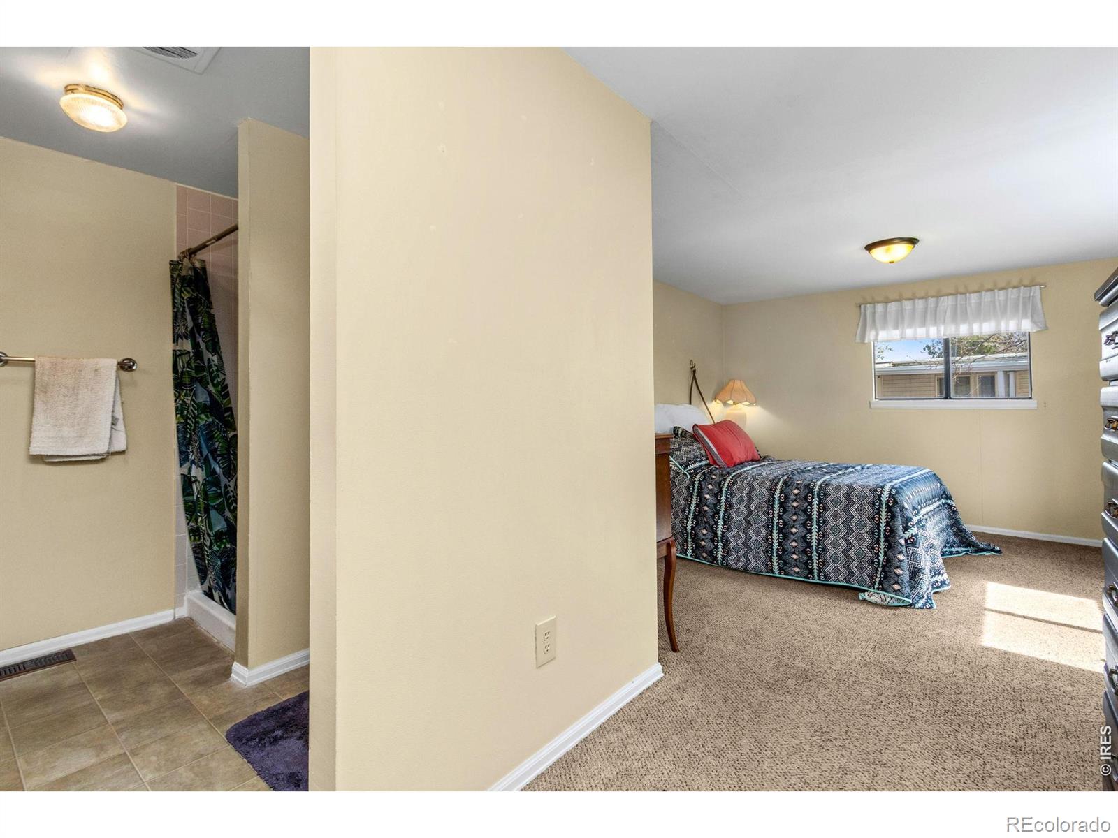 MLS Image #19 for 2820  mango place,loveland, Colorado