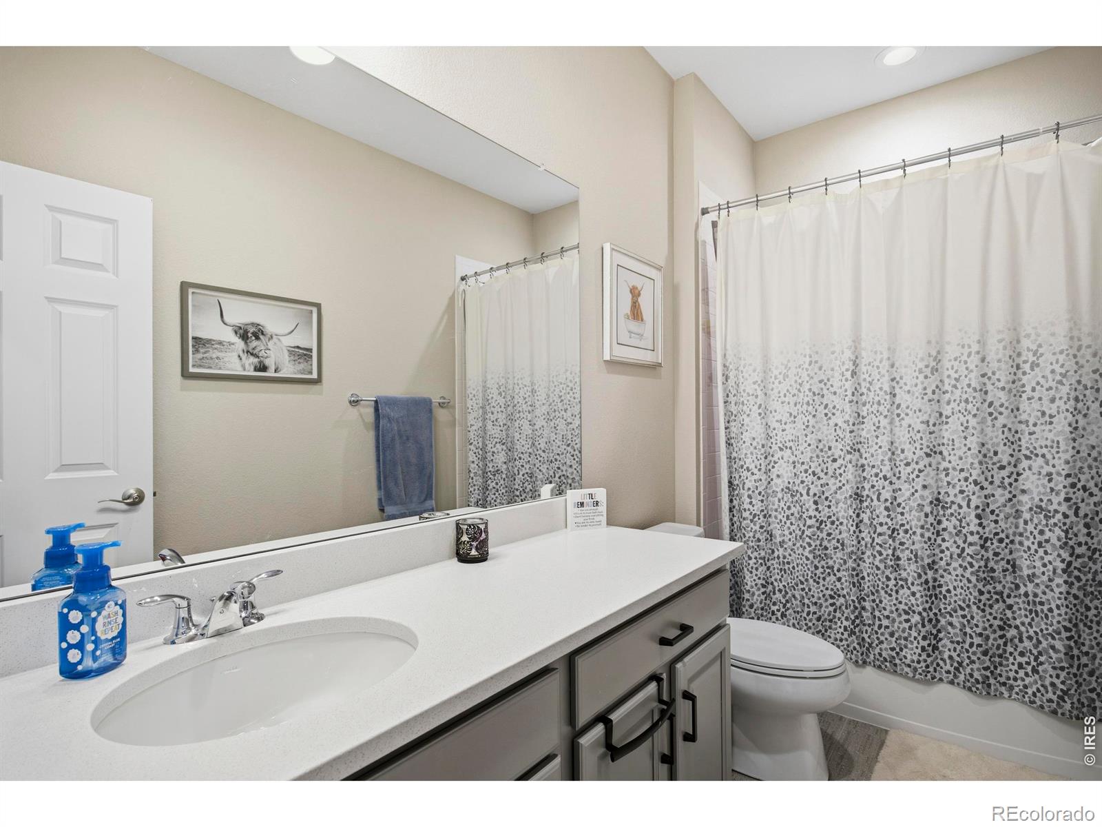 MLS Image #30 for 5743  jedidiah drive,timnath, Colorado