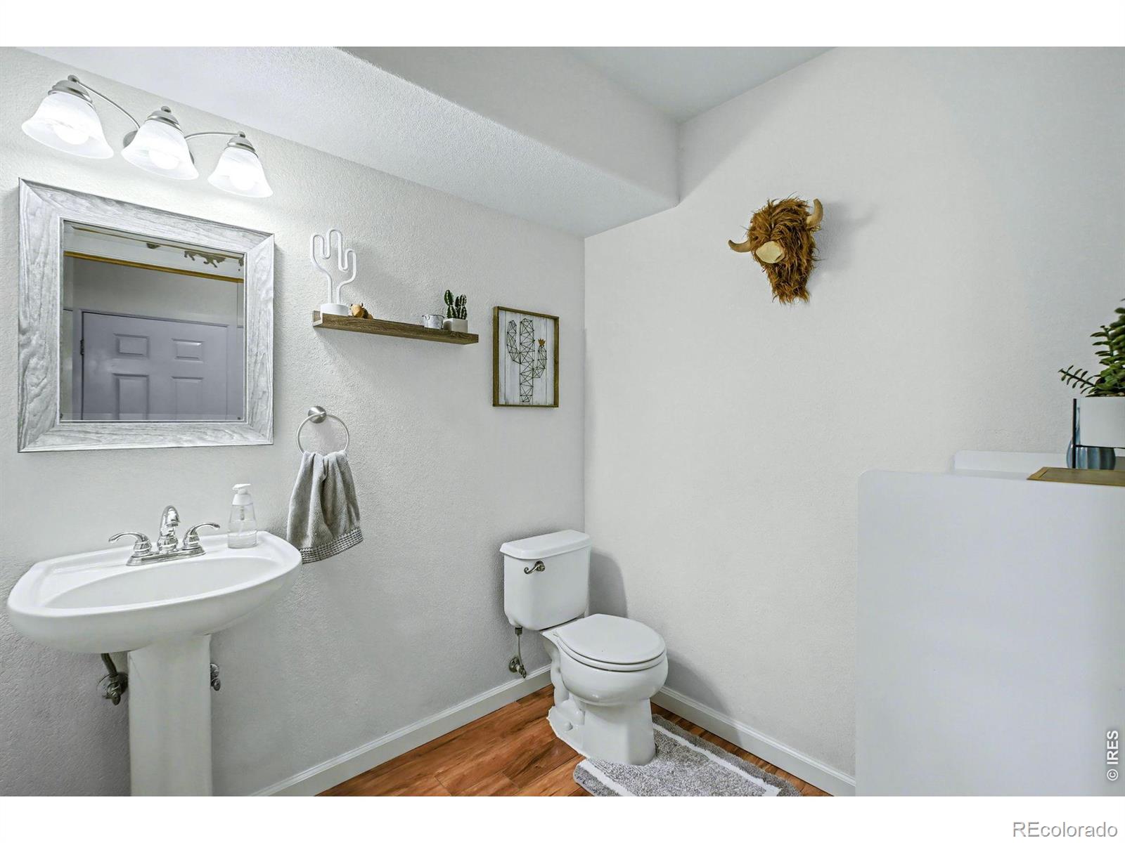 MLS Image #11 for 4574  glen isle drive,loveland, Colorado
