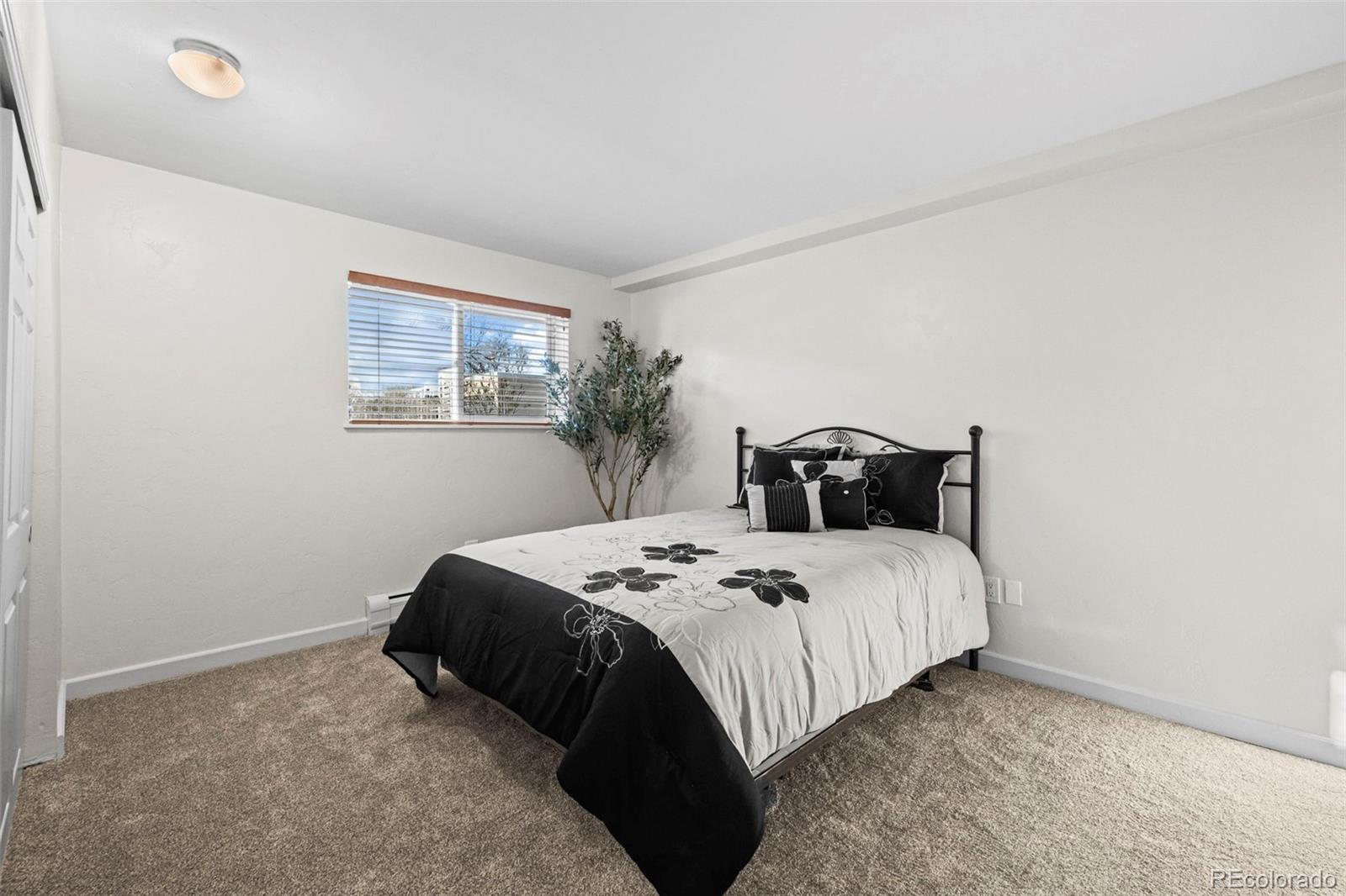 MLS Image #13 for 381 s ames street,lakewood, Colorado