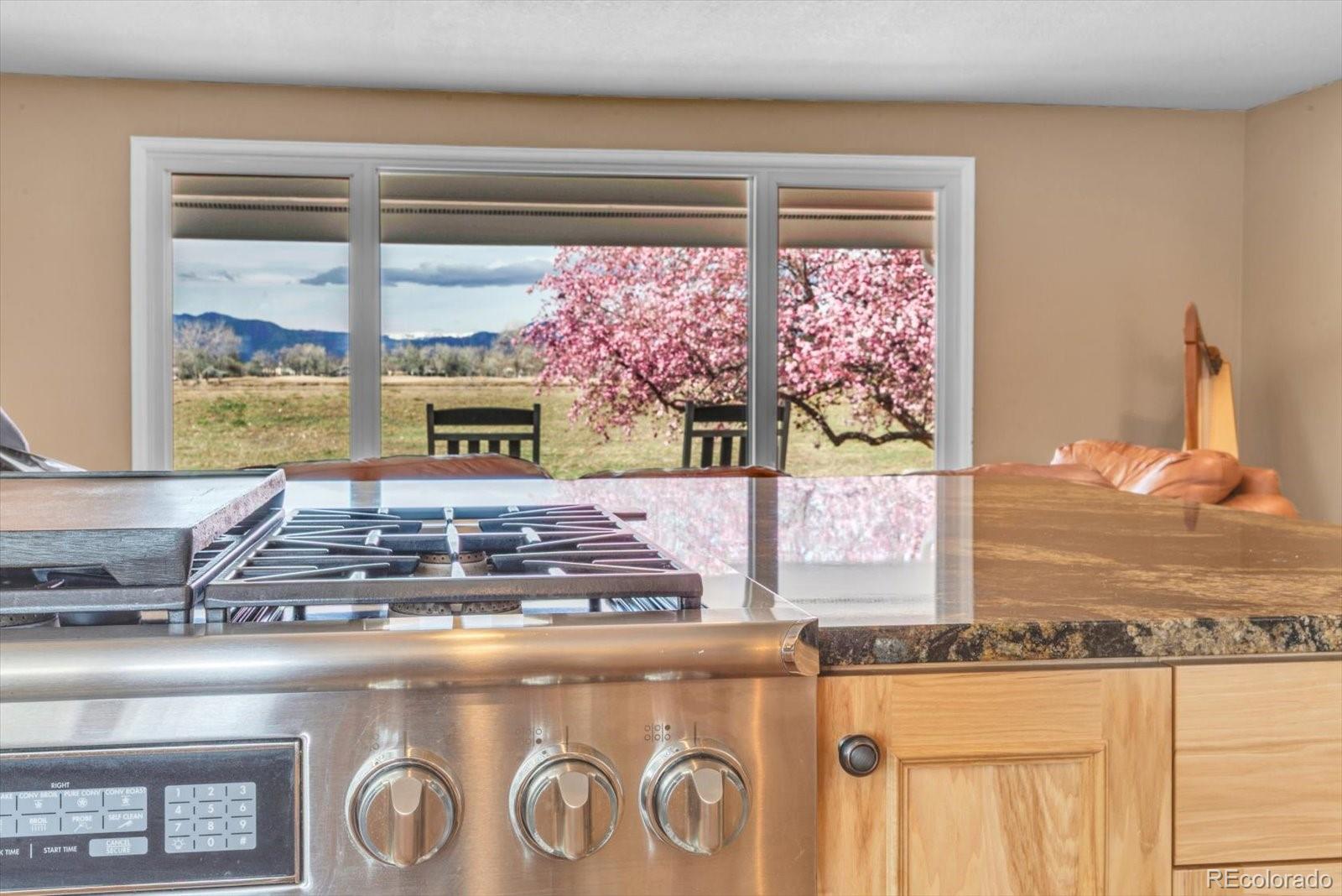 MLS Image #12 for 1296  aspen street,broomfield, Colorado