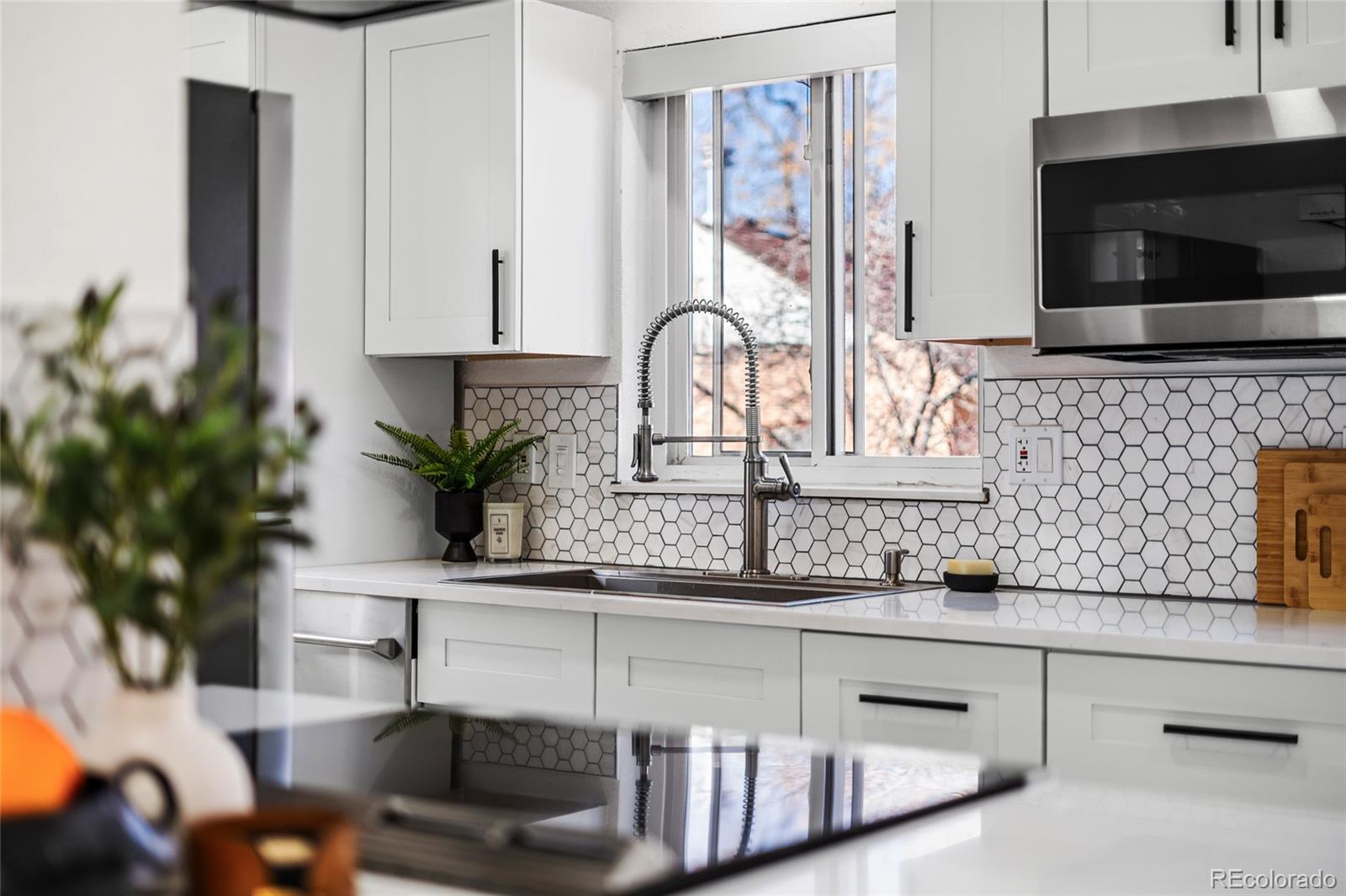 MLS Image #14 for 4535  vallejo street,denver, Colorado